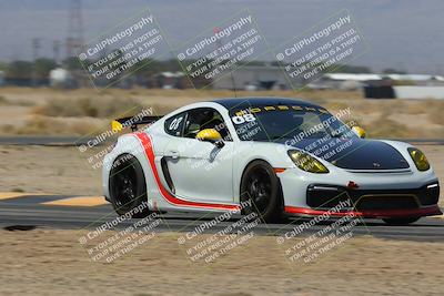 media/Mar-30-2025-Pro Autosports (Sun) [[34ff8f16e0]]/2-Blue-White Group/Main Race/